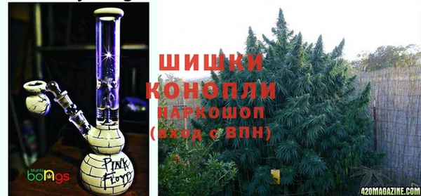трава Пересвет