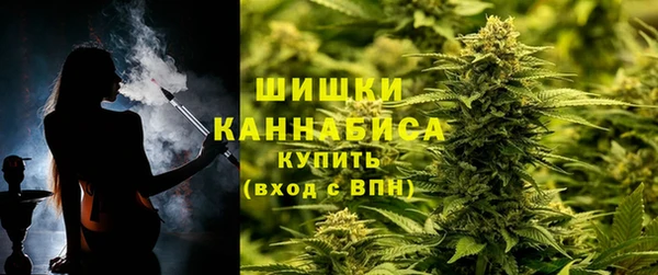 spice Пестово