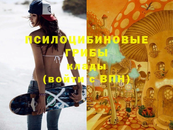 spice Пестово