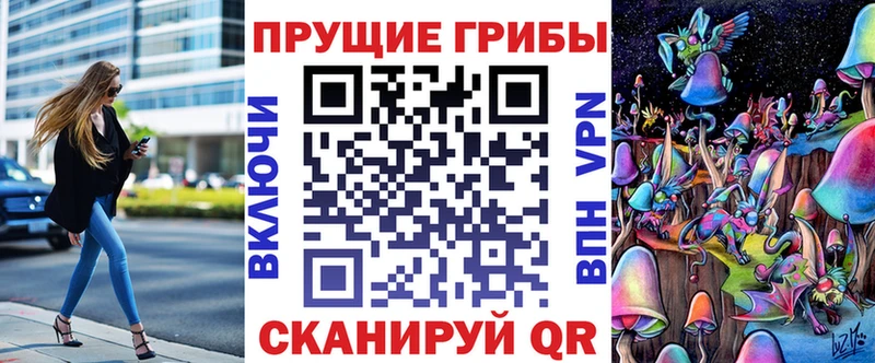 Галлюциногенные грибы Psilocybine cubensis  Новотроицк 