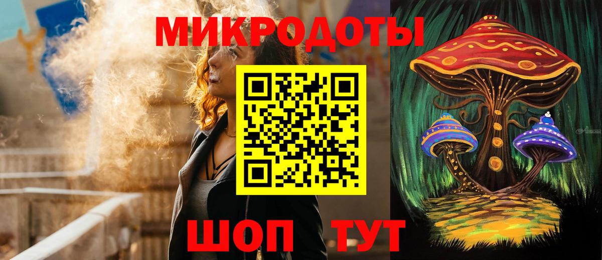 Псилоцибиновые грибы Psilocybe Новотроицк